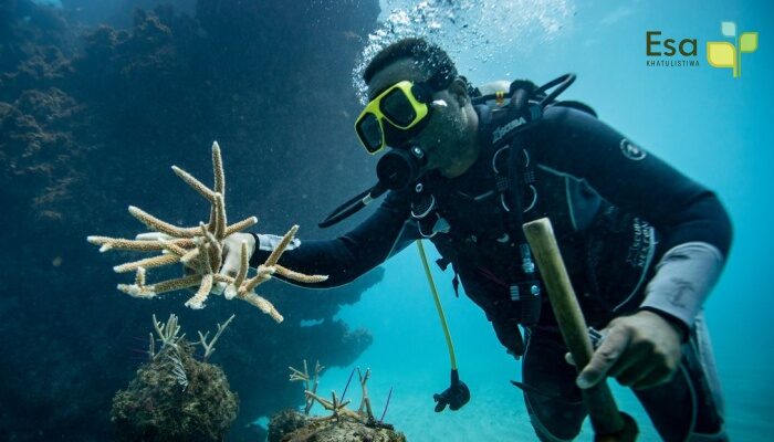 Coral Reef Conservation – Fish House