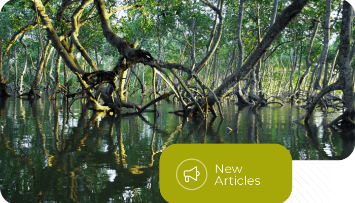 From Biomass to Carbon Credits - Unlocking the Potential of Blue Carbon Ecosystems