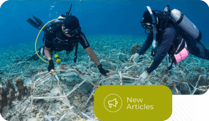 Innovative Fish House Systems for Sustainable Coral Reef Conservation