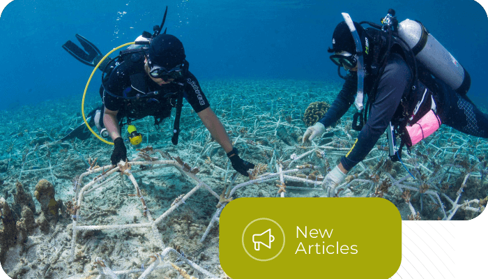 Innovative Fish House Systems for Sustainable Coral Reef Conservation