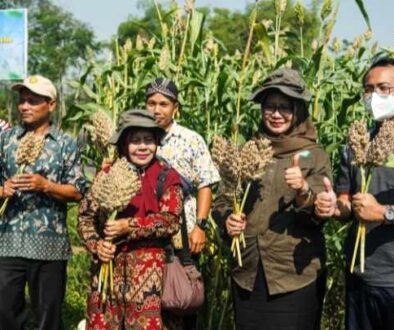 MBI Bersama ITS dan Yayasan Esa Khatulistiwa Sosialisasikan Potensi Pengembangan Sorgum di Mojokerto