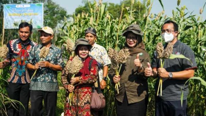 MBI Bersama ITS dan Yayasan Esa Khatulistiwa Sosialisasikan Potensi Pengembangan Sorgum di Mojokerto