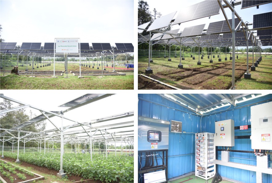 Symbiosis through Agrivoltaics | Location : Malang,East Java