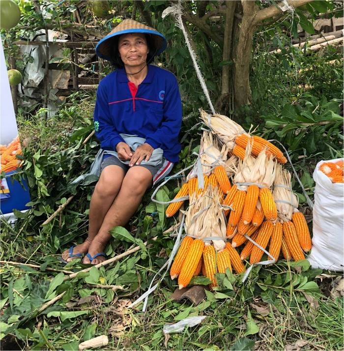 Winagsih is a 40 years old farmer and small scale businesswoman in Kebon Tuggul (ward), Mojokerto (District), East Java (Region), Indonesia. In 2022 she began engaging in hybrid corn TKS-234 with organic farming activities and joined a seminar organized by IDM.