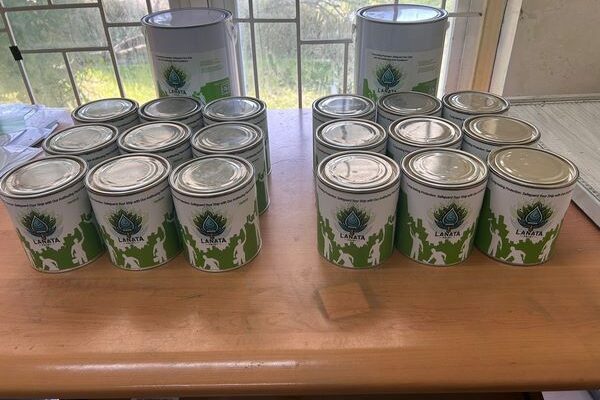 esa khatulistiwa gallery (1)