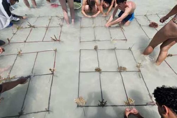 esa khatulistiwa gallery (2)