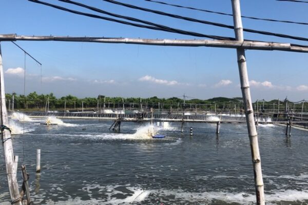 esa khatulistiwa gallery (5)