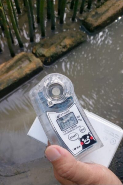 mangrove restoration (4)